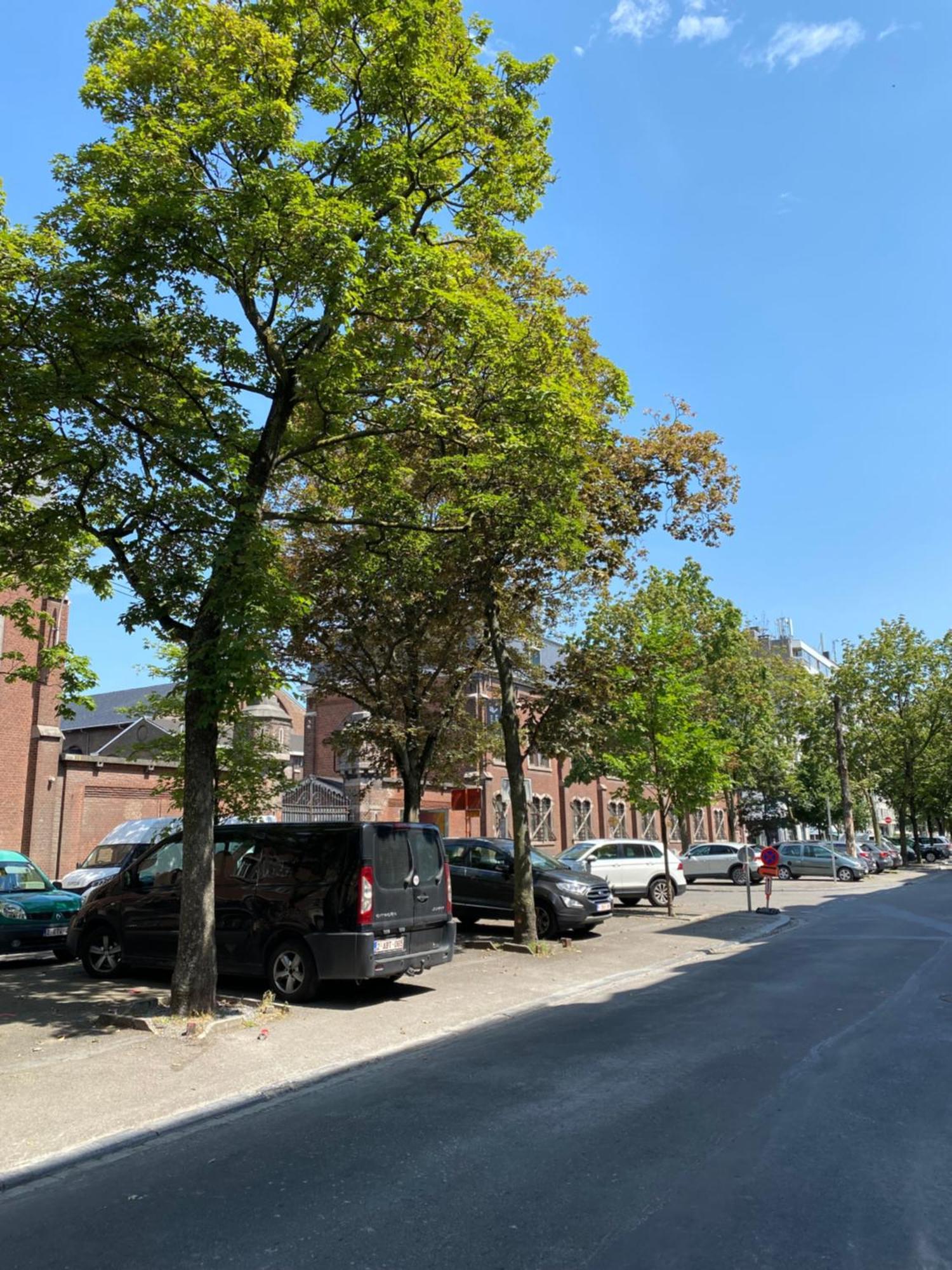 Sweet Home Liege Exterior photo